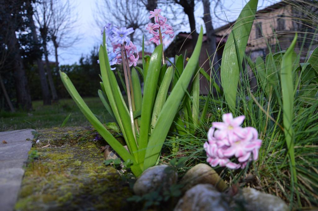 Appartamento Casa Della Nonna Новента-ді-П'яве Екстер'єр фото