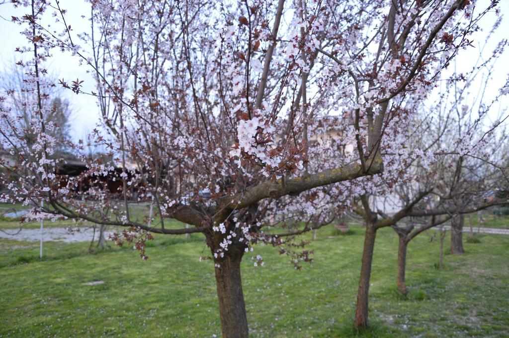 Appartamento Casa Della Nonna Новента-ді-П'яве Екстер'єр фото