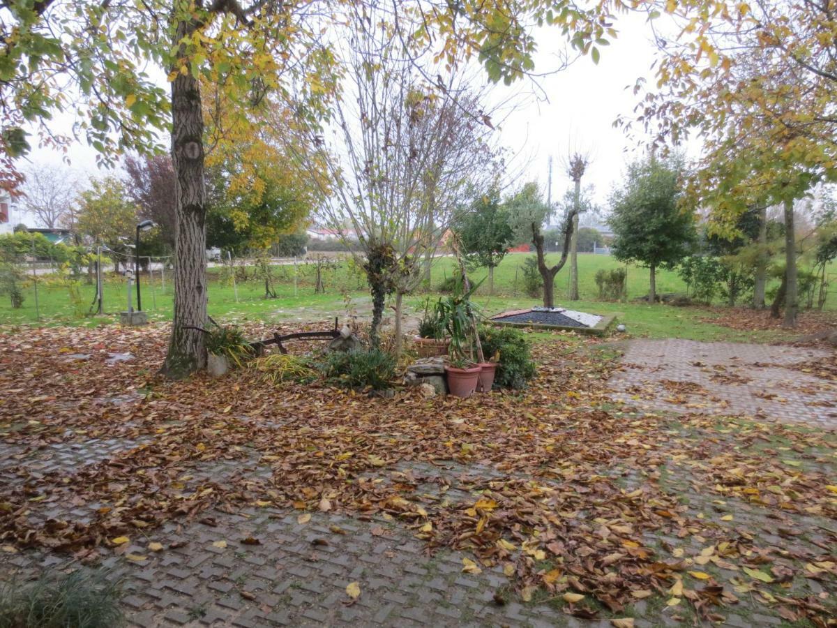Appartamento Casa Della Nonna Новента-ді-П'яве Екстер'єр фото